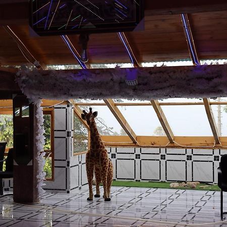 Hotel Al Azeem Айюбия Экстерьер фото